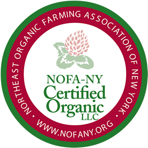 nofany_cert_logo